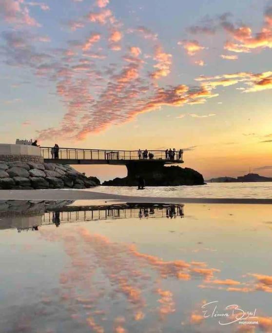 Plage Des Catalans/Vieux Port Marseilles Exterior foto